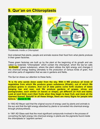 9. Qur’an on Chloroplasts
Thylakoids inside a Chloroplast
God ordained that plants, people and animals receive their food from what plants produce
in their green factories.
These green factories are built up by the plant at the beginning of its growth and are
called by botanists “Chloroplasts” which contain the chlorophyll, which the Qur’an calls
“Al-Khadir” (green substance), where the plant utilizes the light energy and changes it
into chemical energy leading ultimately to the production of various kinds of grain, fruit
and other parts of vegetation that we see in gardens and fields.
The Qur’an draws our attention to these facts,:
“It is He who sends down water from the sky. With it WE produce all kinds of
vegetables from which We produce green substance (Khadir), out of which We
produce grains in clusters. And out of date palms come forth clusters of dates
hanging low and near, and We produce gardens of grapes, olives and
pomegranates, each similar (in leaves or shape), yet different (in fruit and taste).
Look at (and think over) their fruits when they begin to bear fruit, and (look at) the
ripeness thereof. Behold! In all these things, there are many Signs for people who
believe.” (Quran 6: 99)
In 1942 AD Meyer said that the original source of energy used by plants and animals is
the sun and that the light energy absorbed by plants is converted into chemical energy
through photosynthesis.
In 1961 AD Glass said that the most significant compounds involved in the process of
converting the light energy into chemical energy in plants are the pigments found inside
the chloroplasts or “pigment carriers”.
 