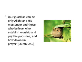 “ Your guardian can be
  only Allah; and His
  messenger and those
  who believe, who
  establish worship and
  pay the poor-due, and
  bow down (in
  prayer”(Quran 5:55)
 