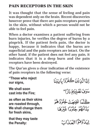 63
* For more Queries contact: webmaster@irf.net
ISLAMIC RESEARCH FOUNDATION
Spreading the Truth of Islam
www.irf.net
Authored by: Dr. Zakir Abdul Karim Naik
THE QUR’AN AND MODERN SCIENCE
COMPATIBLE OR INCOMPATIBLE ?
PAIN RECEPTORS IN THE SKIN
It was thought that the sense of feeling and pain
was dependent only on the brain. Recent discoveries
however prove that there are pain receptors present
in the skin, without which a person would not be
able to feel pain.
When a doctor examines a patient suffering from
burn injuries, he verifies the degree of burns by a
pinprick. If the patient feels pain, the doctor is
happy, because it indicates that the burns are
superficial and the pain receptors are intact. On the
other hand, if the patient does not feel any pain, it
indicates that it is a deep burn and the pain
receptors have been destroyed.
The Qur’an gives a clear indication of the existence
of pain receptors in the following verse:
“Those who reject
our signs,
We shall soon
cast into the Fire;
as often as their skins
are roasted through,
We shall change them
for fresh skins,
that they may taste
the Penalty:
 