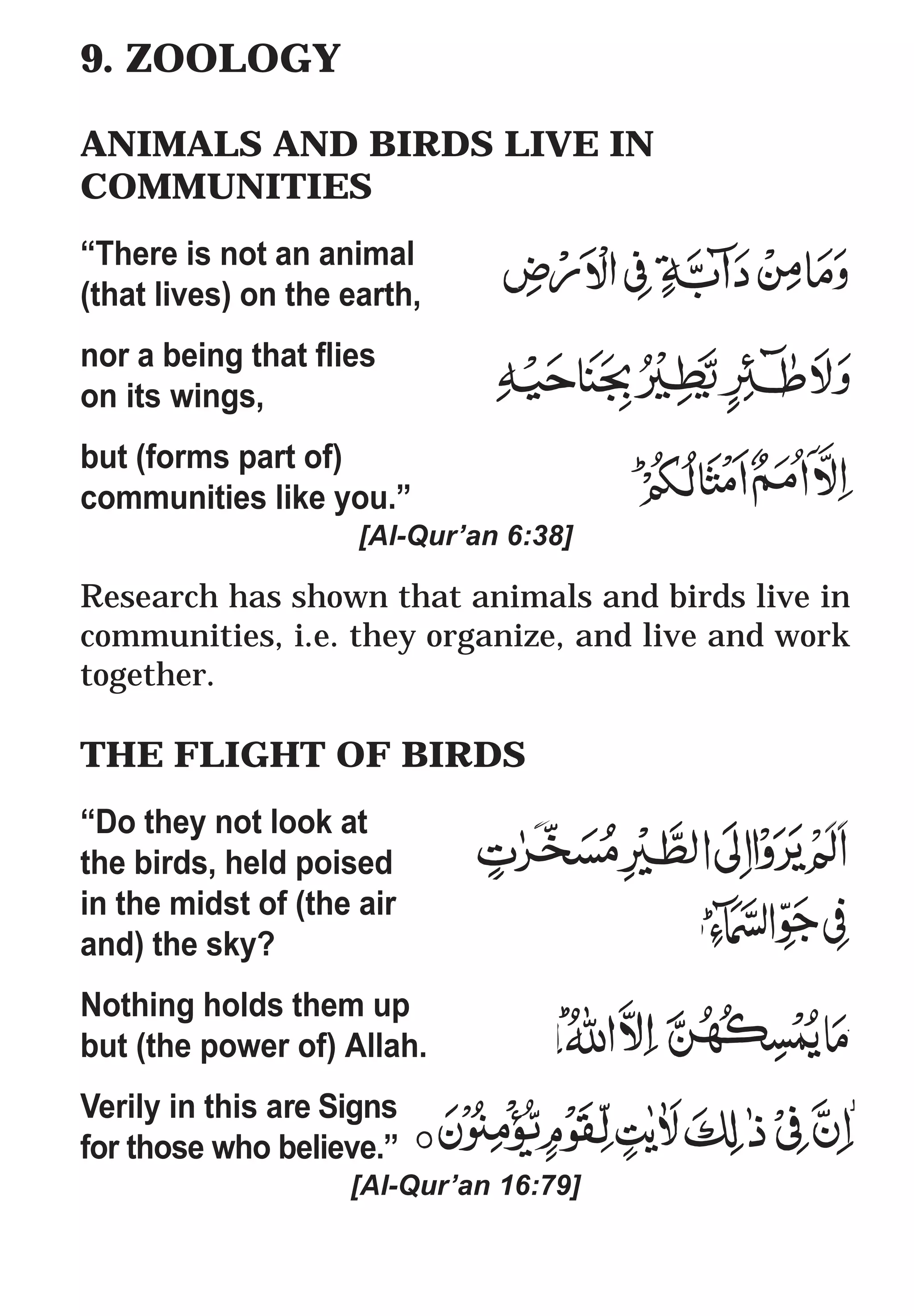 9. ZOOLOGY

ANIMALS AND BIRDS LIVE IN
COMMUNITIES
“There is not an animal
(that lives) on the earth,
nor a being that flies
on its wings,
but (forms part of)
communities like you.”
                     [Al-Qur’an 6:38]

Research has shown that animals and birds live in
communities, i.e. they organize, and live and work
together.

THE FLIGHT OF BIRDS
“Do they not look at
the birds, held poised
in the midst of (the air
and) the sky?
Nothing holds them up
but (the power of) Allah.
Verily in this are Signs
for those who believe.”
                    [Al-Qur’an 16:79]
 