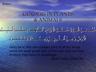 Glory be to Him who created pairs of all the things which the earth grows and of their own kind and that of which they have no knowledge.    (Sura Yasin, Verse 36) Botany GENDERS IN PLANTS & ANIMALS 