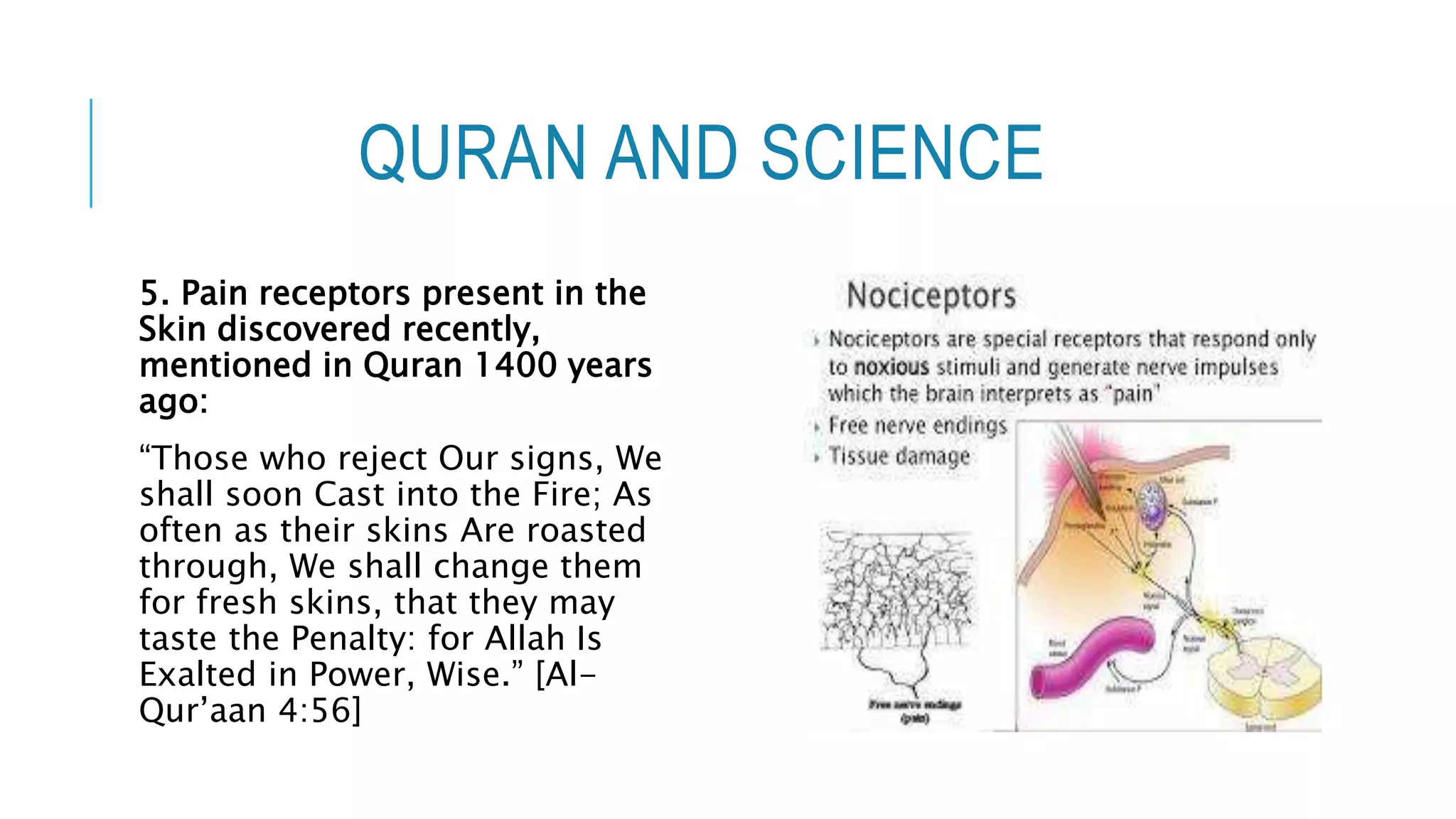 QURAN AND SCIENCE
5. Pain receptors present in the
Skin discovered recently,
mentioned in Quran 1400 years
ago:
“Those who reject Our signs, We
shall soon Cast into the Fire; As
often as their skins Are roasted
through, We shall change them
for fresh skins, that they may
taste the Penalty: for Allah Is
Exalted in Power, Wise.” [Al-
Qur’aan 4:56]
 