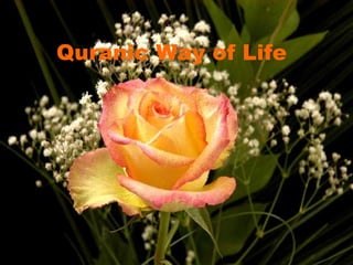 Quranic Way of Life   