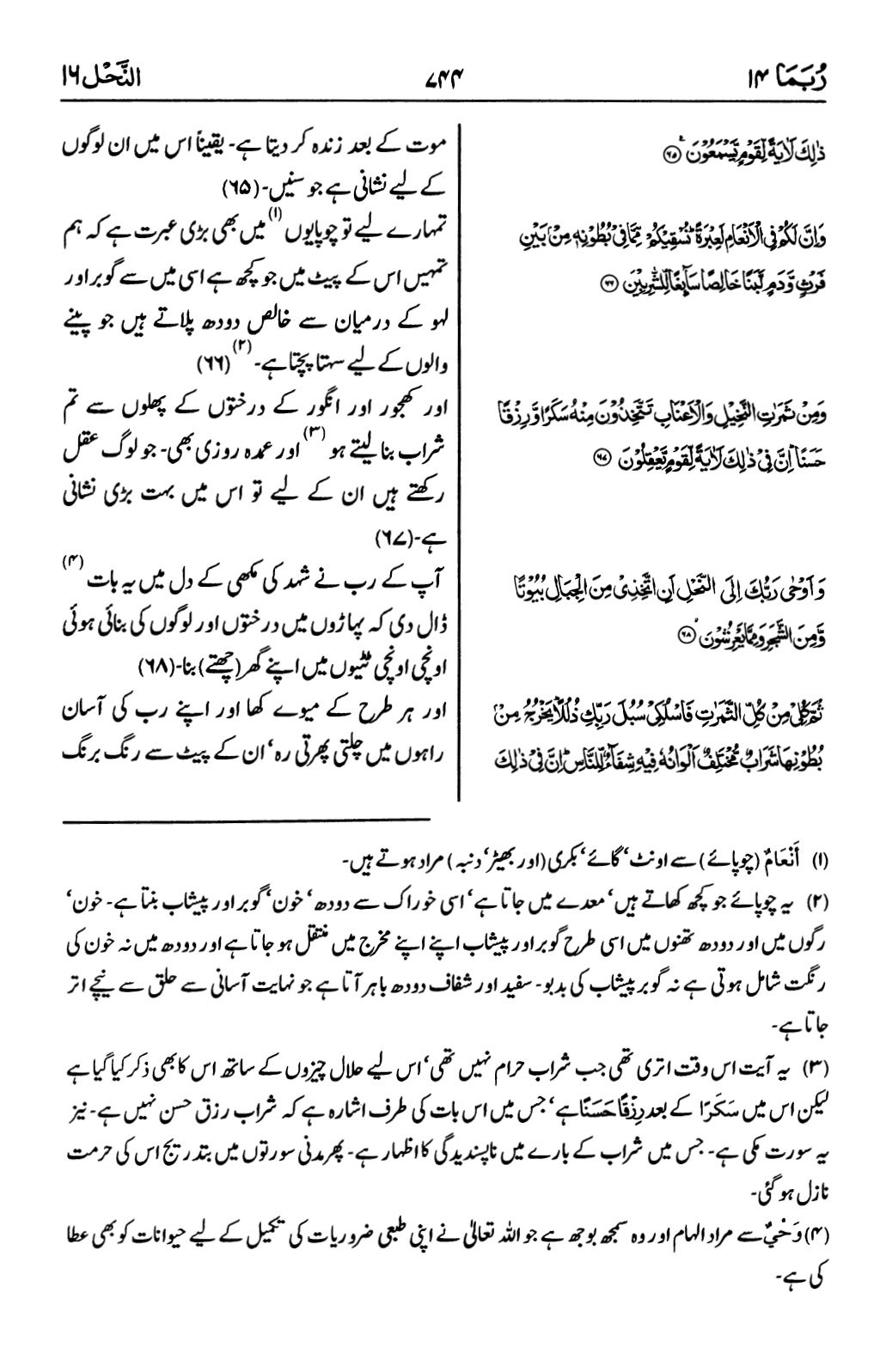 quran majeed pdf urdu translation quran majeed pdf urdu translation