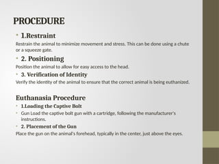PROCEDURE
• 1.Restraint
Restrain the animal to minimize movement and stress. This can be done using a chute
or a squeeze gate.
• 2. Positioning
Position the animal to allow for easy access to the head.
• 3. Verification of Identity
Verify the identity of the animal to ensure that the correct animal is being euthanized.
Euthanasia Procedure
• 1.Loading the Captive Bolt
• Gun Load the captive bolt gun with a cartridge, following the manufacturer's
instructions.
• 2. Placement of the Gun
Place the gun on the animal's forehead, typically in the center, just above the eyes.
 