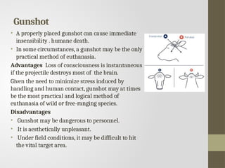 Gunshot
• A properly placed gunshot can cause immediate
insensibility . humane death.
• In some circumstances, a gunshot may be the only
practical method of euthanasia.
Advantages Loss of consciousness is instantaneous
if the projectile destroys most of the brain.
Given the need to minimize stress induced by
handling and human contact, gunshot may at times
be the most practical and logical method of
euthanasia of wild or free-ranging species.
Disadvantages
• Gunshot may be dangerous to personnel.
• It is aesthetically unpleasant.
• Under field conditions, it may be difficult to hit
the vital target area.
 
