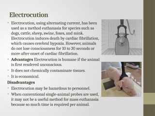 Electrocution
• Electrocution, using alternating current, has been
used as a method euthanasia for species such as
dogs, cattle, sheep, swine, foxes, and mink.
Electrocution induces death by cardiac fibrillation,
which causes cerebral hypoxia. However, animals
do not lose consciousness for 10 to 30 seconds or
more after onset of cardiac fibrillation.
• Advantages Electrocution is humane if the animal
is first rendered unconscious.
• It does not chemically contaminate tissues.
• It is economical.
Disadvantages
• Electrocution may be hazardous to personnel.
• When conventional single-animal probes are used,
it may not be a useful method for mass euthanasia
because so much time is required per animal.
 