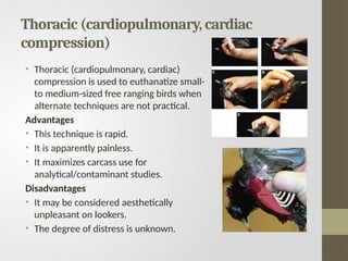 Thoracic (cardiopulmonary, cardiac
compression)
• Thoracic (cardiopulmonary, cardiac)
compression is used to euthanatize small-
to medium-sized free ranging birds when
alternate techniques are not practical.
Advantages
• This technique is rapid.
• It is apparently painless.
• It maximizes carcass use for
analytical/contaminant studies.
Disadvantages
• It may be considered aesthetically
unpleasant on lookers.
• The degree of distress is unknown.
 