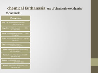 chemical Euthanasia useofchemicalstoeuthanize
theanimals.
Mammals
Dogs, Cats Pentobarbital (Barbiturate)
| 100-150 mg/kg IV |
Dogs, Cats T-61 (Barbiturate) | 0.3-
0.5 mL/kg IV |
Horses Pentobarbital (Barbiturate) | 100-
150 mg/kg IV
Cattle Pentobarbital (Barbiturate) | 100-150
mg/kg IV |
Pigs Pentobarbital (Barbiturate)
| 100-150 mg/kg IV |
Sheep, Goats Pentobarbital (Barbiturate) |
100-150 mg/kg IV |
Rabbits Pentobarbital (Barbiturate) | 100-
150 mg/kg IV |
Rodents Carbon dioxide (CO2)
| 70-100% CO2 |
Rodents Pentobarbital (Barbiturate) | 100-
150 mg/kg IP |
 