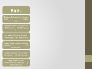 Birds
Chickens, Turkeys Carbon dioxide
(CO2) | 70-100%
CO2 |
Chickens, Turkeys Pentobarbital
(Barbiturate) | 100-150 mg/kg
IV |
Pet birds Isoflurane (Inhalant
anesthetic) | 3-5% Isoflurane |
Snakes, Lizards Isoflurane (Inhalant
anesthetic) | 3-
5% Isoflurane |
Turtles, Tortoises Pentobarbital
(Barbiturate) | 100-150 mg/kgIV |
Frogs, Toads Tricaine
methanesulfonate (MS 222) |
500-1000 mg/L |
 