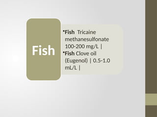 •Fish Tricaine
methanesulfonate
100-200 mg/L |
•Fish Clove oil
(Eugenol) | 0.5-1.0
mL/L |
Fish
 