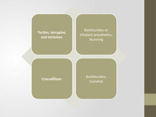 Turtles, terrapins,
and tortoises
Barbiturates or
inhalant anesthetics,
Stunning
Crocodilians
Barbiturates,
Gunshot
 