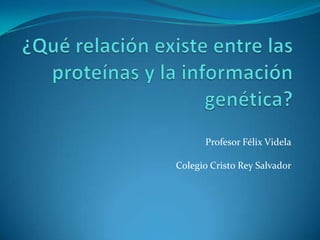 ¿Qué relación existe entre las proteínas y la información genética? Profesor Félix Videla Colegio Cristo Rey Salvador 