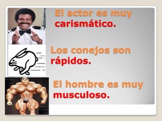 El actor es muy
carismático.
Los conejos son
rápidos.
El hombre es muy
musculoso.
 