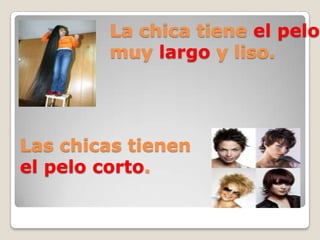 La chica tiene el pelo
muy largo y liso.
Las chicas tienen
el pelo corto.
 