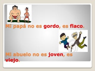 Mi papá no es gordo, es flaco.
Mi abuelo no es joven, es
viejo.
 