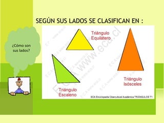 SEGÚN SUS LADOS SE CLASIFICAN EN : ¿Cómo son sus lados? 