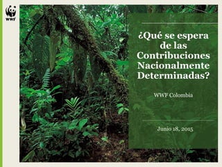 ¿Qué se espera
de las
Contribuciones
Nacionalmente
Determinadas?
Junio 18, 2015
WWF Colombia
 