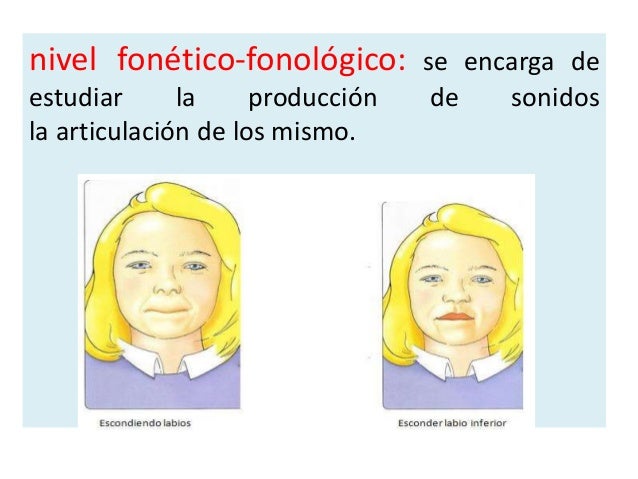 Qué se evalúa en lenguaje