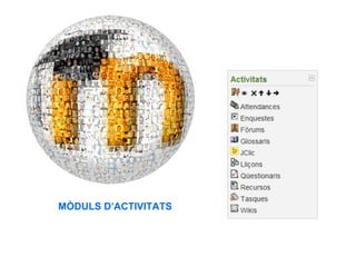 MÒDULS D’ACTIVITATS
 