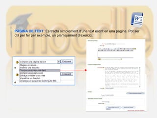 PÀGINA DE TEXT: Es tracta simplement d’una text escrit en una pàgina. Pot ser
útil per fer per exemple, un plantejament d’exercici.
 