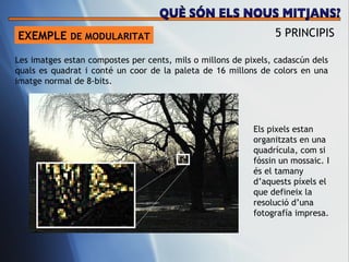 EXEMPLE  DE MODULARITAT 5 PRINCIPIS Les imatges estan compostes per cents, mils o millons de pixels, cadasc ún dels quals es quadrat i conté un coor de la paleta de 16 millons de colors en una imatge normal de 8-bits.  Els pixels estan organitzats en una quadrícula, com si fóssin un mossaic. I és el tamany d’aquests píxels el que defineix la resolució d’una fotografía impresa.  QUÈ SÓN ELS NOUS MITJANS? 
