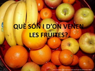 QUÈ SÓN I D’ON VENEN
    LES FRUITES?



           http://pixabay.com/es/frutas-cesta-de-frutas-los-alimentos-3882/
 