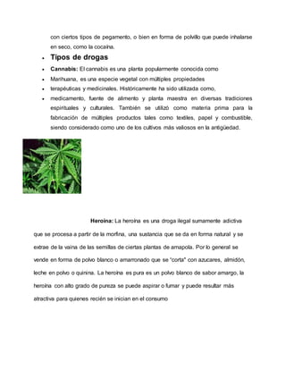 con ciertos tipos de pegamento, o bien en forma de polvillo que puede inhalarse
en seco, como la cocaína.
 Tipos de drogas
 Cannabis: El cannabis es una planta popularmente conocida como
 Marihuana, es una especie vegetal con múltiples propiedades
 terapéuticas y medicinales. Históricamente ha sido utilizada como,
 medicamento, fuente de alimento y planta maestra en diversas tradiciones
espirituales y culturales. También se utilizó como materia prima para la
fabricación de múltiples productos tales como textiles, papel y combustible,
siendo considerado como uno de los cultivos más valiosos en la antigüedad.
Heroína: La heroína es una droga ilegal sumamente adictiva
que se procesa a partir de la morfina, una sustancia que se da en forma natural y se
extrae de la vaina de las semillas de ciertas plantas de amapola. Por lo general se
vende en forma de polvo blanco o amarronado que se “corta" con azucares, almidón,
leche en polvo o quinina. La heroína es pura es un polvo blanco de sabor amargo, la
heroína con alto grado de pureza se puede aspirar o fumar y puede resultar más
atractiva para quienes recién se inician en el consumo
 