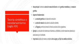 Teoría sintética o
neodarwinismo
(sigloXX)
 