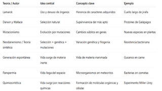Qué son las evidencias evolutivas.pptxmm