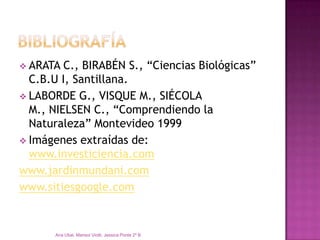  ARATA  C., BIRABÉN S., “Ciencias Biológicas”
  C.B.U I, Santillana.
 LABORDE G., VISQUE M., SIÉCOLA
  M., NIELSEN C., “Comprendiendo la
  Naturaleza” Montevideo 1999
 Imágenes extraídas de:
  www.investiciencia.com
www.jardinmundani.com
www.sitiesgoogle.com


       Ana Ubal, Marisol Viotti, Jessica Ponte 2º B
 