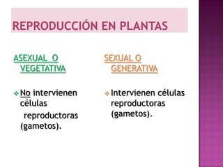 ASEXUAL O         SEXUAL O
 VEGETATIVA         GENERATIVA

 Nointervienen    Intervienen
                              células
 células           reproductoras
  reproductoras    (gametos).
 (gametos).
 