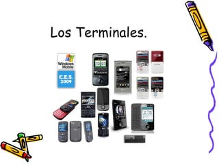 Los Terminales.