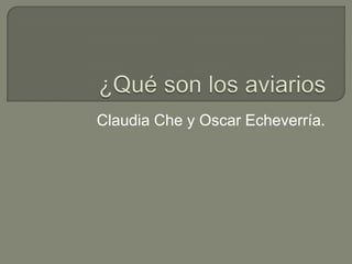 Claudia Che y Oscar Echeverría.
 
