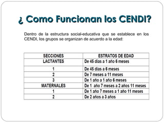 ¿ Como Funcionan los CENDI?¿ Como Funcionan los CENDI?
Dentro de la estructura social-educativa que se establece en los
CENDI, los grupos se organizan de acuerdo a la edad:
 