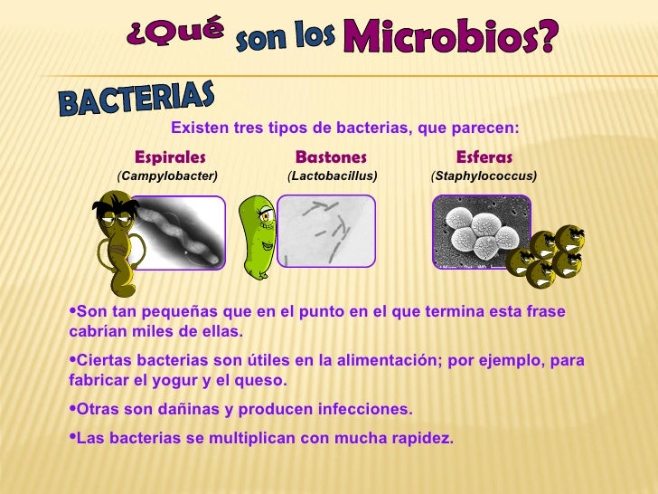 Qué son los microbios - Adriana Villanueva