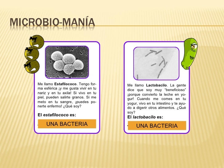La medicina contra el hongo entre los dedos de los pies el foro