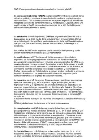 SNC. Están presentes en la corteza cerebral, el cerebelo y la ME.
El ácido g-aminobutírico (GABA) es el principal NT inhibitorio cerebral. Deriva
del ácido glutámico, mediante la decarboxilación realizada por la glutamato-
descarboxilasa. Tras la interacción con los receptores específicos, el GABA es
recaptado activamente por la terminación y metabolizado. La glicina tiene una
acción similar al GABA pero en las interneuronas de la ME. Probablemente
deriva del metabolismo de la serina.
La serotonina (5-hidroxitriptamina) (5-HT) se origina en el núcleo del rafe y
las neuronas de la línea media de la protuberancia y el mesencéfalo. Deriva
de la hidroxilación del triptófano mediante la acción de la triptófano-hidroxilasa
que produce 5-hidroxitriptófano; éste es descarboxilado, dando lugar a la
serotonina.
Los niveles de 5-HT están regulados por la captación de triptófano y por la
acción de la monoaminooxidasa (MAO) intraneuronal.
La acetilcolina es el NT fundamental de las neuronas motoras bulbo-
espinales, las fibras preganglionares autónomas, las fibras colinérgicas
posganglionares (parasimpáticas) y muchos grupos neuronales del SNC (p. ej.,
ganglios basales y corteza motora). Se sintetiza a partir de la colina y la acetil-
coenzima A mitocondrial, mediante la colinacetiltransferasa. Al ser liberada, la
acetilcolina estimula receptores colinérgicos específicos y su interacción
finaliza rápidamente por hidrólisis local a colina y acetato mediante la acción de
la acetilcolinesterasa. Los niveles de acetilcolina están regulados por la
colinacetiltransferasa y el grado de captación de colina.
La dopamina es el NT de algunas fibras nerviosas y periféricas y de muchas
neuronas centrales (p.ej., en la sustancia negra, el diencéfalo, el área
tegmental ventral y el hipotálamo). El aminoácido tirosina es captado por las
neuronas dopaminérgicas y convertido en 3,4-dihidroxifenilalanina (dopa) por
medio de la tirosina-hidroxilasa. La dopa se decarboxila hasta dopamina por
la acción de la descarboxilasa de l-aminoácidos aromáticos. Tras ser liberada,
la dopamina interactúa con los receptores dopaminérgicos y el complejo NT-
receptor es
Captado de forma activa por las neuronas presinápticas. La tirosina-hidroxilasa y
la
MAO regula las tasas de dopamina en la terminación nerviosa.
La noradrenalina es el NT de la mayor parte de las fibras simpáticas
posganglionares y muchas neuronas centrales (p. ej., en el locus ceruleus y el
hipotálamo). El precursor es la tirosina, que se convierte en dopamina, ésta es
hidroxilada por la dopamina b-hidroxilasa a noradrenalina. Cuando se libera,
ésta interactúa con los receptores adrenérgicos, proceso que finaliza con su
recaptación por las neuronas presinápticas, y su degradaciónpor la MAO y por
la catecol-O-metiltransferasa (COMT), que se localiza sobre todo a nivel
extraneuronal. La tirosina-hidroxilasa y la MAO regulan los niveles
intraneuronales de noradrenalina.
La b-endorfina es un polipéptido que activa muchas neuronas (p. ej., en el
hipotálamo, amígdala, tálamo y locus ceruleus). El cuerpo neuronal contiene
un gran polipéptido denominado proopiomelanocortina, el precursor de varios
 