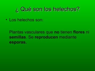 ¿ Qué son los helechos?
• Los helechos son:

 Plantas vasculares que no tienen flores ni
 semillas. Se reproducen mediante
 esporas.
 