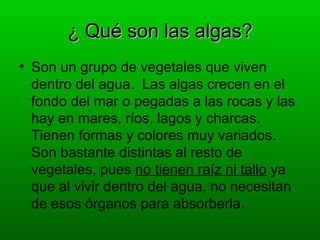 ¿ Qué son las algas?
• Son un grupo de vegetales que viven
  dentro del agua. Las algas crecen en el
  fondo del mar o pegadas a las rocas y las
  hay en mares, ríos, lagos y charcas.
  Tienen formas y colores muy variados.
  Son bastante distintas al resto de
  vegetales, pues no tienen raíz ni tallo ya
  que al vivir dentro del agua, no necesitan
  de esos órganos para absorberla.
 