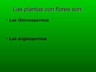 Las plantas con flores son:
• Las Gimnospermas



• Las angiospermas
 
