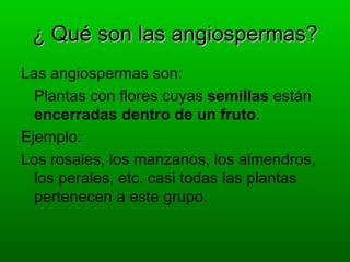 ¿ Qué son las angiospermas?
Las angiospermas son:
  Plantas con flores cuyas semillas están
  encerradas dentro de un fruto.
Ejemplo:
Los rosales, los manzanos, los almendros,
  los perales, etc. casi todas las plantas
  pertenecen a este grupo.
 