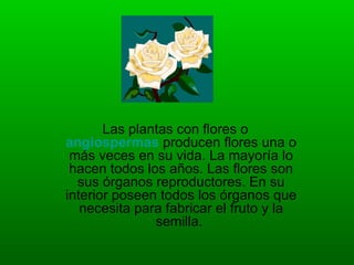 Las plantas con flores o
angiospermas producen flores una o
 más veces en su vida. La mayoría lo
 hacen todos los años. Las flores son
  sus órganos reproductores. En su
interior poseen todos los órganos que
   necesita para fabricar el fruto y la
               semilla.
 