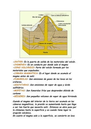 -CRÁTER: Es la puerta de salida de los materiales del volcán.
-CHIMENEA: Es en conducto por donde sale el magma
-CONO VOLCÁNICO: Parte del volcán formada por los
materiales que expulsados.
-CÁMARA MAGMÁTICA: Es el lugar donde se acumula el
magma antes de salir
-FUMAROLAS: Son emisiones de gases de las lavas en los
cráteres.
-SOLFATARAS: Son emisiones de vapor de agua y ácido
sulfhídrico.
-MOFETAS: Son fumarolas frías que desprenden dióxido de
carbono
-GÉISERES: Son pequeños volcanes de vapor de agua hirviendo

Cuando el magma del interior de la tierra ser acumula en las
cámaras magmáticas, la presión va aumentando hasta que llega
a ser tan fuerte que necesita salir. Entonces se abre paso por
la chimenea hasta la superficie y es cuando tiene lugar la
erupción volcánica.
En cuanto el magma sale a la superficie, se convierte en lava
 