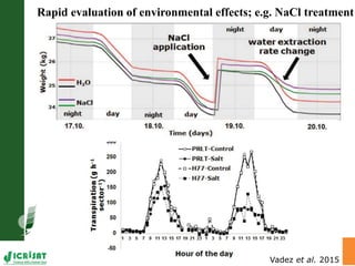 LeasyScan: A novel concept combining 3D imaging and lysimetry for hi-throughput phenotyping of traits controlling plant water budget
