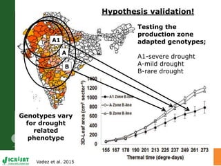 LeasyScan: A novel concept combining 3D imaging and lysimetry for hi-throughput phenotyping of traits controlling plant water budget