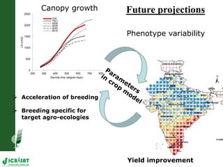 LeasyScan: A novel concept combining 3D imaging and lysimetry for hi-throughput phenotyping of traits controlling plant water budget