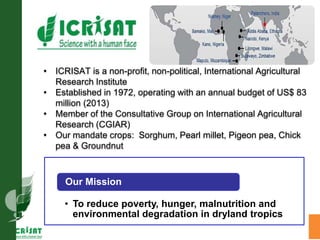 LeasyScan: A novel concept combining 3D imaging and lysimetry for hi-throughput phenotyping of traits controlling plant water budget