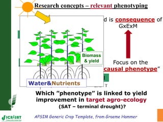 LeasyScan: A novel concept combining 3D imaging and lysimetry for hi-throughput phenotyping of traits controlling plant water budget
