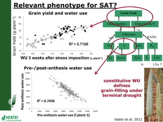 LeasyScan: A novel concept combining 3D imaging and lysimetry for hi-throughput phenotyping of traits controlling plant water budget